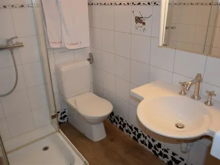Le Vieux Chalet, Appartement 3 personnes à Gstaad - Photo 25