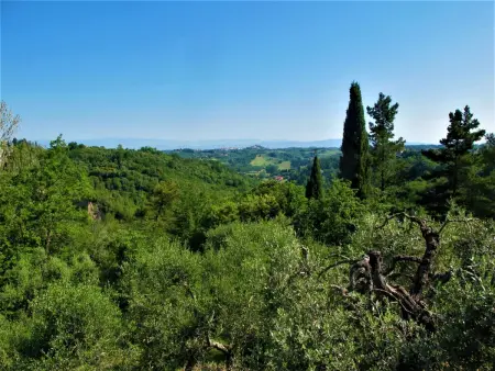 Lisena, Maison 9 personnes à San Miniato - Photo 37