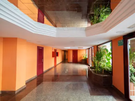 Topacio I, Appartement 4 personnes à Calpe Calp - Photo 23