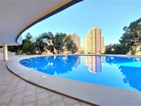 Coblanca XVI, Appartement 4 personnes à Benidorm - Photo 2