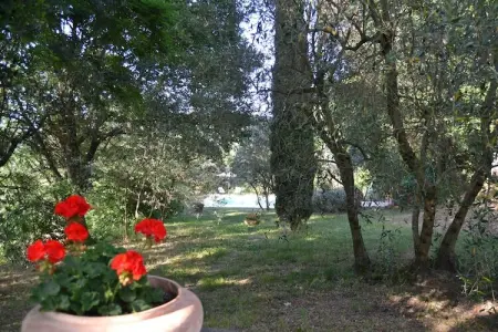 Casa Poggiolo, Gîte dans le Val di Chiana - Photo 25