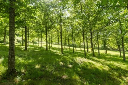 Il Cipresso, Ferme à Poppi avec piscine et vue vallée - Photo 38