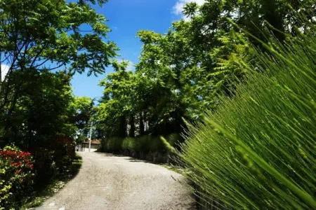 Leccio, Ferme à Casentino avec piscine et jacuzzi - Photo 39