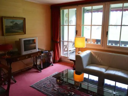 Oberland Nr. 7, Appartement 8 personnes à Gstaad - Photo 6
