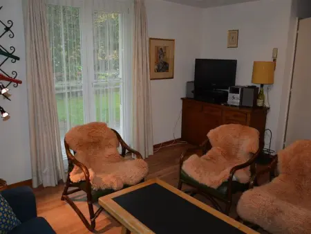 Oberland Nr. 3, Appartement 8 personnes à Gstaad - Photo 4