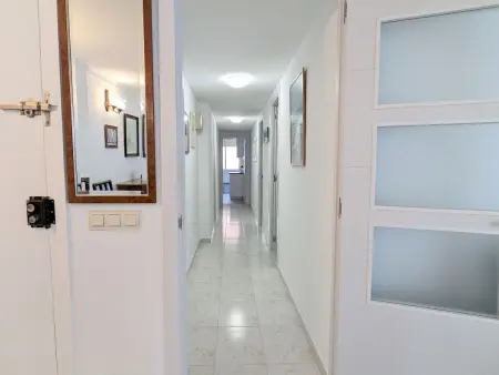 Turia Playa, Appartement 6 personnes à Benidorm - Photo 12