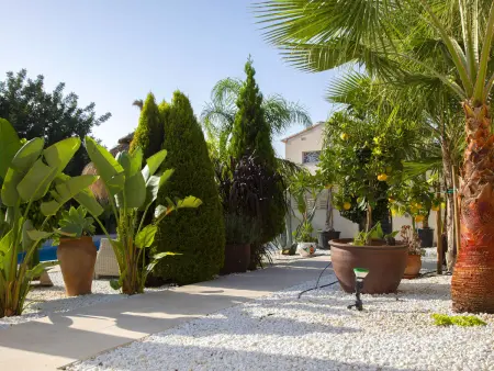 Maison Cuxarret, dans bel environnement naturel pour des vacances de rêve - Photo 26