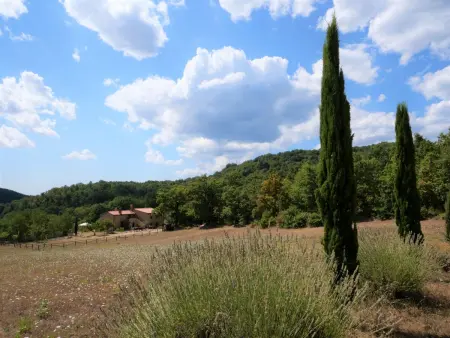 Pian dei Carpini - Janis, Gite 4 personnes à Prata - Photo 29