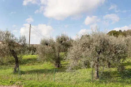 Salice, Appartement à Monte del Lago près de Trasimène - Photo 6