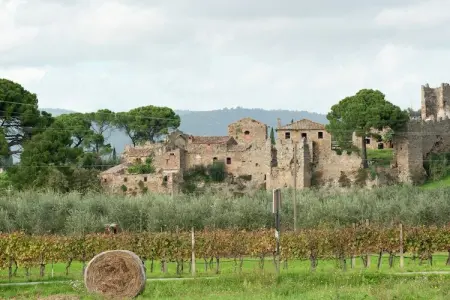 Salice, Appartement à Monte del Lago près de Trasimène - Photo 34