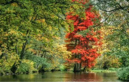 Location Maison 4 personnes à Rendeux - Photo 21