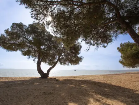 Les Canoubiers III, Appartement 4 personnes à La Londe Les Maures - Photo 18