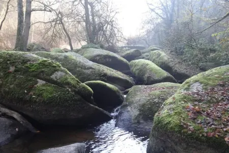 Appartement 1er et 2eme étage Erquy, Appartement 6 personnes à Erquy - Photo 18
