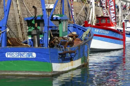 Appartement 1er et 2eme étage Erquy, Appartement 6 personnes à Erquy - Photo 25