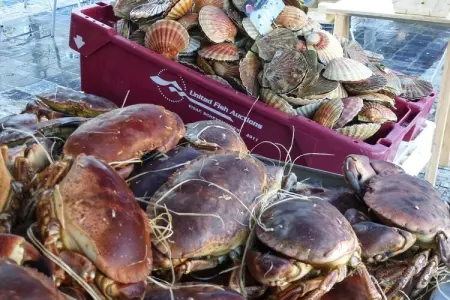 Appartement 1er et 2eme étage Erquy, Appartement 6 personnes à Erquy - Photo 26