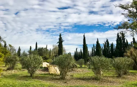 Location Maison 8 personnes à Porreres - Photo 16