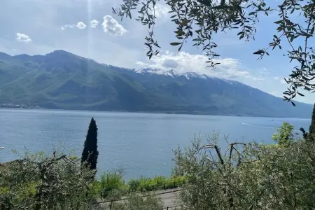 Residence Villa Gianna Limone sul Garda - Trilo 1 - 2 pax - Photo 5