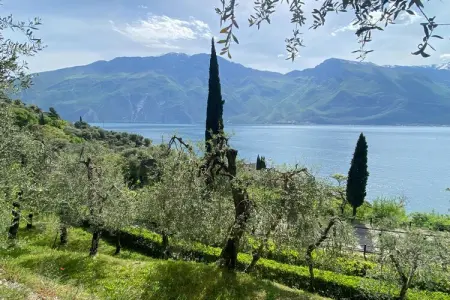 Residence Villa Gianna Limone sul Garda - Trilo 1 - 3 pax - Photo 3