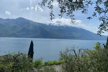 Residence Villa Gianna Limone sul Garda - Trilo 1 - 3 pax - Photo 5