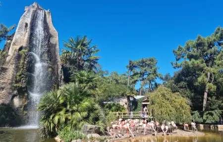 Location Maison 4 personnes à Royan - Photo 26