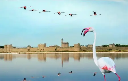 Location Maison 6 personnes à Fontvieille - Photo 20