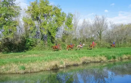 Location Maison 6 personnes à Fontvieille - Photo 23