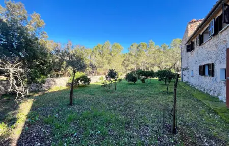 Son Amer des Pla, Maison 9 personnes à Algaida - Photo 18