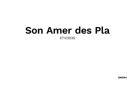 Son Amer des Pla, Maison 9 personnes à Algaida - Photo 50
