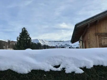 Charmant appartement 3 pièces, jardin, parking et wifi à Demi-Quartier - Photo 14