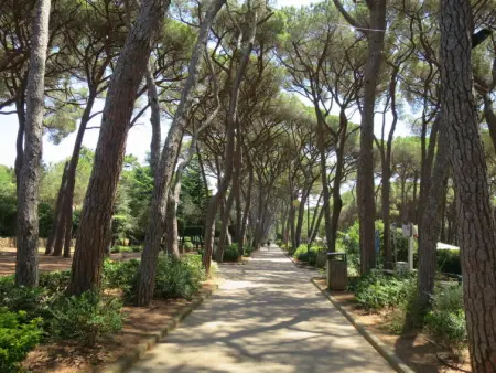 Marruca, Appartement 3 personnes à Castiglioncello - Photo 39