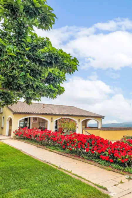 Le Debbiare, Appartement 6 personnes à Riparbella - Photo 24