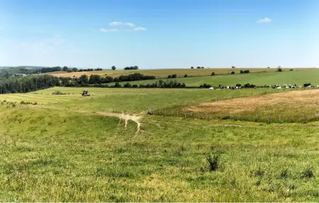Location Maison 5 personnes à Somme Leuze - Photo 22