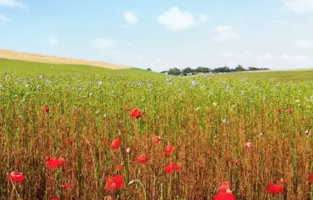 Location Maison 14 personnes à Sainte Marguerite sur - Photo 17