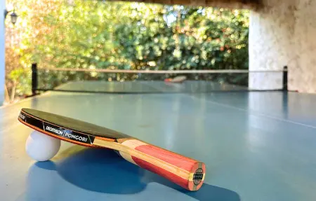 Location Maison 10 personnes à L'Isle sur la Sorgue - Photo 14