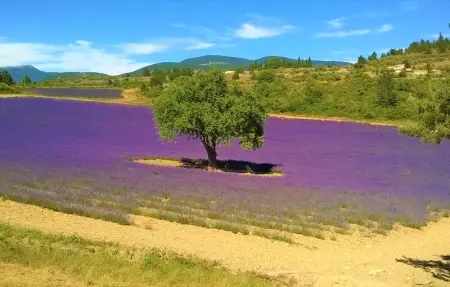 Location Maison 10 personnes à L'Isle sur la Sorgue - Photo 20