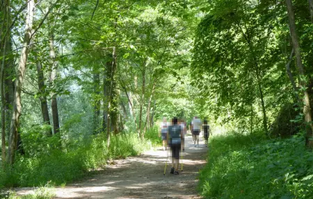 Location Appartement 4 personnes à Sacile - Photo 5