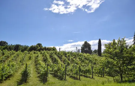 Location Appartement 4 personnes à Sacile - Photo 6