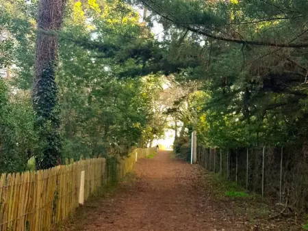 Villa 6 ch. avec sauna, jardin et parking près du Bassin d'Arcachon - Photo 3