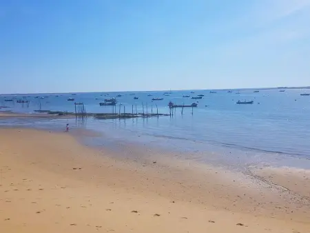 Villa 6 ch. avec sauna, jardin et parking près du Bassin d'Arcachon - Photo 4