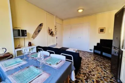 Appartement à Grenoble, Le Spacieux T3 Pour 4 Proche De Gem Et La Gare 🗻 FR-38000-51 N°1040755