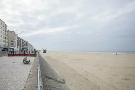 Nynfea, Maison à Koksijde près de la Plage - Photo 36