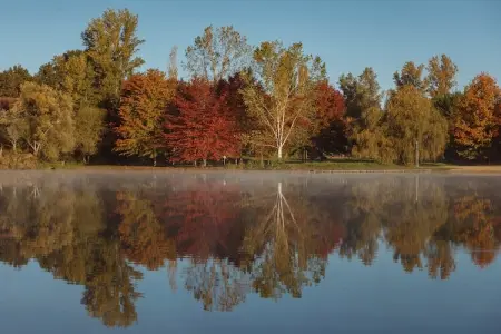 Le Repos près de Dordogne et Cahors, Villa à Cazals avec piscine et lac à proximité - Photo 34