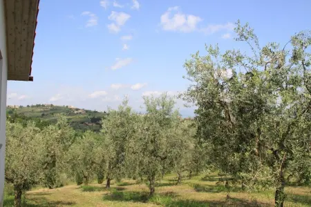 La Casa dei Cinque Olivi, Paradis toscans ; Vinci et Pistoia - Photo 32