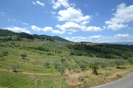 La Casa dei Cinque Olivi, Paradis toscans ; Vinci et Pistoia - Photo 36