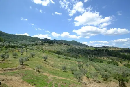 La Casa dei Cinque Olivi, Paradis toscans ; Vinci et Pistoia - Photo 37