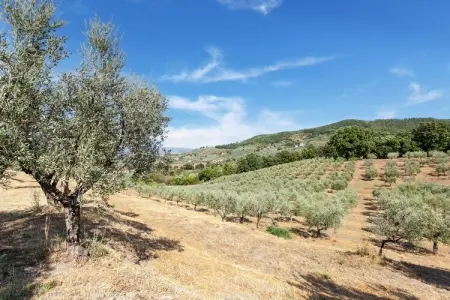 La Casa dei Due Olivi, Demeure de ferme avec piscine et charme toscan - Photo 36