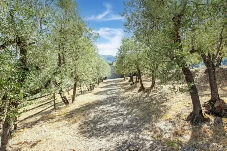 La Casa dei Due Olivi, Demeure de ferme avec piscine et charme toscan - Photo 37