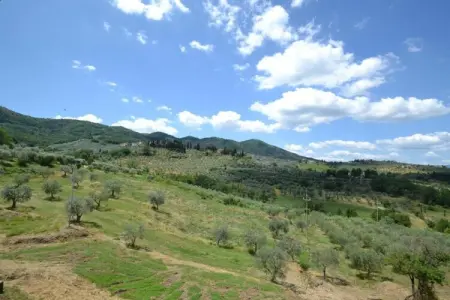 La Casa dei Due Olivi, Demeure de ferme avec piscine et charme toscan - Photo 39