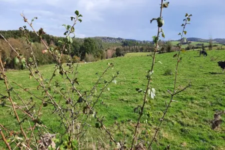 Honnay, Escapade à la campagne pour 9 personnes - Photo 31