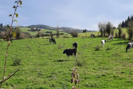 Honnay, Escapade à la campagne pour 9 personnes - Photo 33